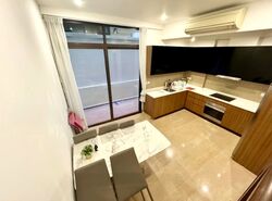Holland Link (D10), Terrace #588726131